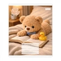 Зошит 1 вересня Bear stories А5 24 аркушів клітинка (768974) - зменшене зображення 4