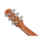 Гітара акустична Ibanez AAD50-TCB (234925) - зменшене зображення 9