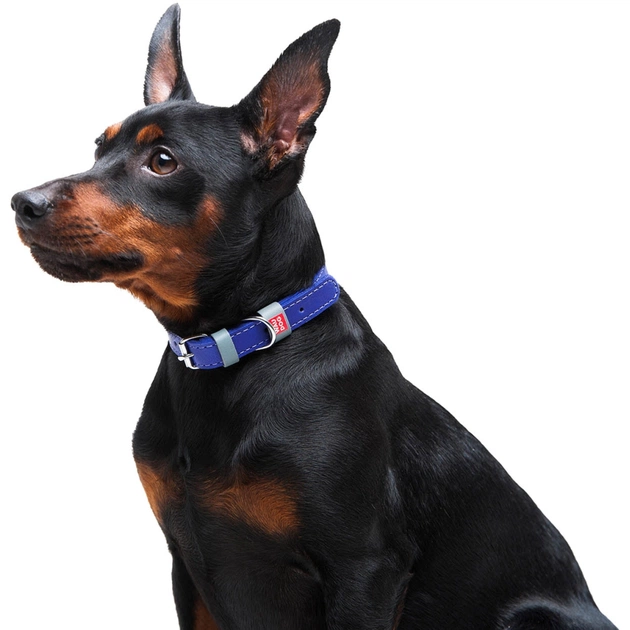 Нашийник для тварин WAUDOG Classic шкіряний 12 мм х 21-29 см фіолетовий (02029) - picture 4