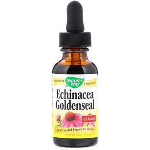 Травы Nature's Way Эхинацея и Гидрастис, Echinacea Goldenseal, без спирта, 30 (NWY-14663) изображение 1