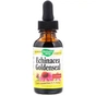 Трави Nature's Way Ехінацея і Гідрастіс, Echinacea Goldenseal, без спирту, 30 м (NWY-14663) - зменшене зображення 1