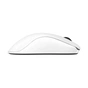 Мишка Zowie FK2DW Wireless White (9H.N4MBE.A3E) - зменшене зображення 6