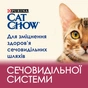 Сухий корм для кішок Purina Cat Chow Urinary Tract Health з куркою 1.5 кг (5997204514387) - зменшене зображення 5