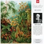 Пазл GoodLoot Imagination: Ernst Haeckel Muscinae 1000 элементов (5908305239642) - уменьшенное изображение 4