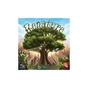 Настільна гра Capstone Games Renature (Розквіт), англійська (5060226932955) - зменшене зображення 1