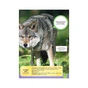 Книга Дитяча енциклопедія хижаків - Алекс Вульф, Клер Філіп Vivat (9789669828514) - зменшене зображення 9