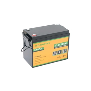 Батарея LiFePo4 Dyness 25,6V 100Ah (80/100A) (Eco-Worthy-251002) изображение 1