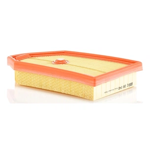 Повітряний фільтр для автомобіля Mann C26040 зображення 1