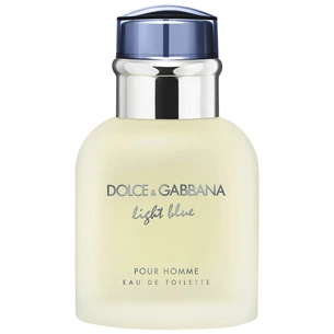 Туалетна вода Dolce&Gabbana Light Blue Pour Homme 40 мл (3423473020523/8057971180387) зображення 1