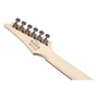 Електрогітара Ibanez RG421PB CHF (230535) - уменьшенное изображение 7