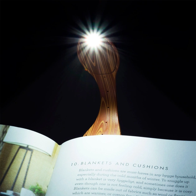 Закладки для книг Flexilight ліхтарик - Деревина (FLWO) - picture 7