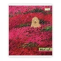 Зошит Yes Whats up? А5 48 аркушів лінія (768601) - зменшене зображення 4