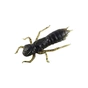 Силікон рибальський FishUP Dragonfly 1.7" 043 - Watermelon Brown/Black (8шт/уп) (1864.04.93) - зменшене зображення 1