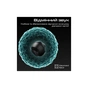 Навушники HiFuture OlymBuds3 Black (olymbuds3.black) - зменшене зображення 3