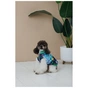 Жилет для тварин Pet Fashion Grass XS (4823082435913) - зменшене зображення 8