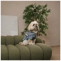 Футболка для тварин Pet Fashion Breeze XS (4823082445844) - зменшене зображення 3