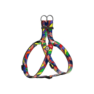 Шлея для собак WAUDOG Nylon з QR паспортом анатомічна "Вітраж" M (4606) зображення 1
