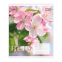 Тетрадь Yes Flora А5 24 листов линия (768791) - уменьшенное изображение 5