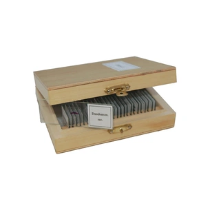 Набір мікропрепаратів Sigeta Різне 2 25 шт (65108) зображення 1