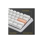 Клавіатура Ducky One 3 Mini Cherry MX Brown RGB UA USB White (DKON2161ST-BUAPXPWWWSC1) - зменшене зображення 12