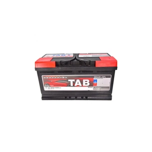 Акумулятор автомобільний TAB 100 Ah/12V Magic Euro (189 800) зображення 1