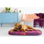 Чохол на матраци для тварин WAUDOG Relax Гранат S 55х40 см (1308-0107) - зменшене зображення 5