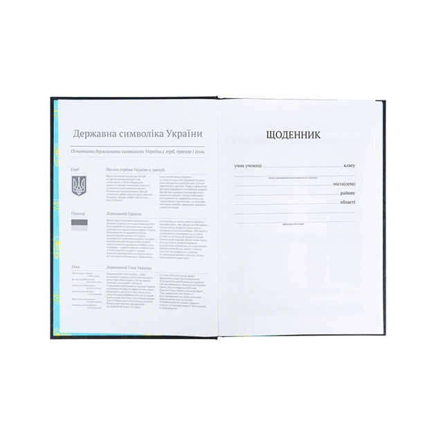 Щоденник шкільний Kite Cyber, тверда обкладинка (K25-262-4) - picture 4