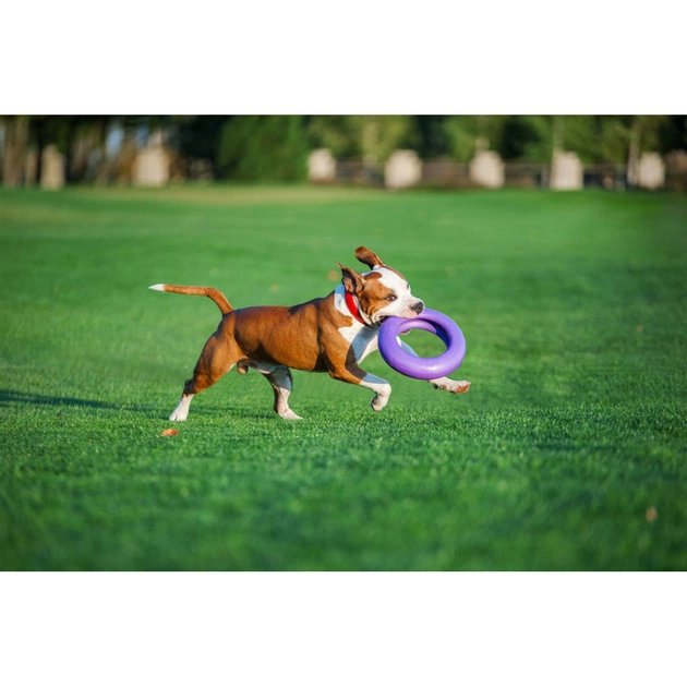 Іграшка для собак Puller Maxi 30 см (6492) - picture 7