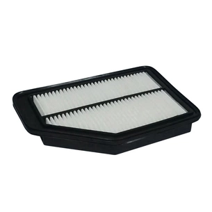 Повітряний фільтр для автомобіля Champion CAF100925P зображення 1