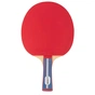Ракетка для настільного тенісу Gewo Standard Pro FL (600300001) (931331) - зменшене зображення 1