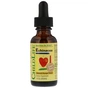 Трави ChildLife Рідка Ехінацея для Дітей з Апельсиновим Смаком, Echinacea, (CDL-10100) - зменшене зображення 1