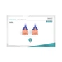 Патч-корд Digitus 10м, CAT 6 UTP, AWG 26/7, Cu, LSZH, blue (DK-1617-100/B) - зменшене зображення 4