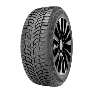 Шина Doublestar Winterking DW08 205/60R16 92T изображение 1
