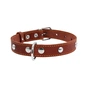 Нашийник для тварин Collar одинарний з прикрасами Ш 20 мм Д 32-40 см коричневий (01356) - зменшене зображення 2