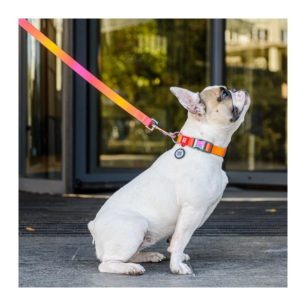 Нашийник для тварин WAUDOG Recycled з QR паспортом M Ш 20 мм Д 28-40 см помаранчевий (46514) - picture 4