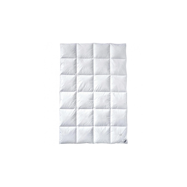 Ковдра Billerbeck E04 Goldedition Mono 200x220 см (5542258006) - зображення 1