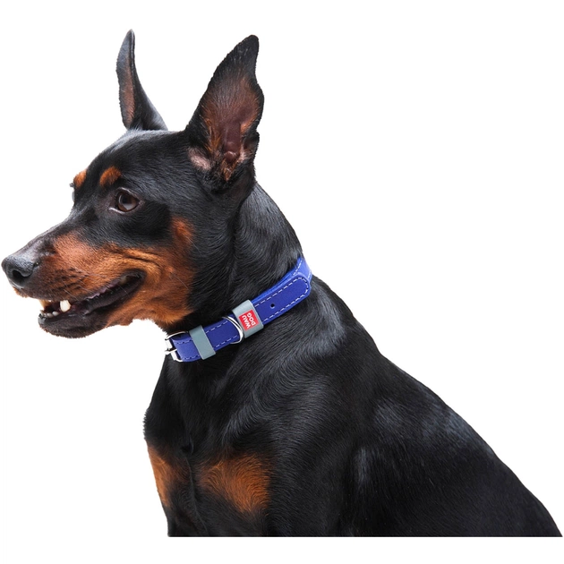 Нашийник для тварин WAUDOG Classic шкіряний 12 мм х 21-29 см фіолетовий (02029) - picture 6