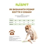 Черевики для собак Ruispet для малих порід 4 шт №2 сині (2700000033241) - зменшене зображення 5
