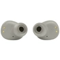Навушники JBL Vibe 100 TWS Silver (JBLV100TWSIVREU) - зменшене зображення 3