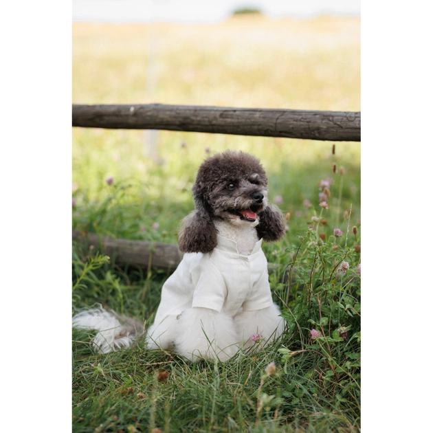 Футболка для тварин Pet Fashion Ostap S (4823082439324) - picture 11