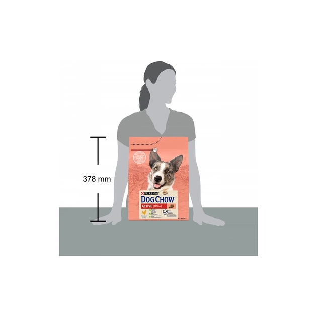 Сухий корм для собак Purina Dog Chow Active Adult зі смаком курки 2.5 кг (7613034487858) - picture 5