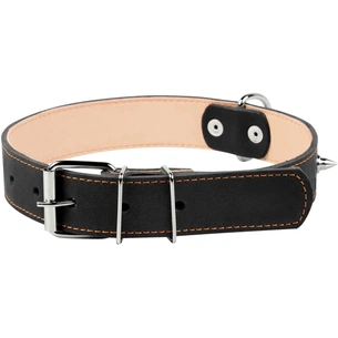 Нашийник для тварин Collar подвійний із шипами 35 мм 48-63 см (чорний) (02871) зображення 1