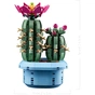Конструктор LEGO Botanicals Цвітіння кактуса (11509) - зменшене зображення 6