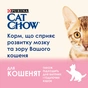 Сухий корм для кішок Purina Cat Chow Kitten з куркою 15 кг (5997204514028) - зменшене зображення 5