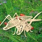 Збірна модель Мир деревянных игрушек Саранча (Е027) - зменшене зображення 1