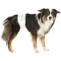 Підгузки для тварин Trixie для собак (кобелів) L-XL 60-80 см 12 шт (4011905236438) - зменшене зображення 2