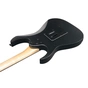 Електрогітара Ibanez GRGR330EX BKF (234954) - уменьшенное изображение 5