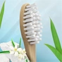 Зубна щітка Oral-B Bamboo Середньої жорсткості (3014260106546) - зменшене зображення 2