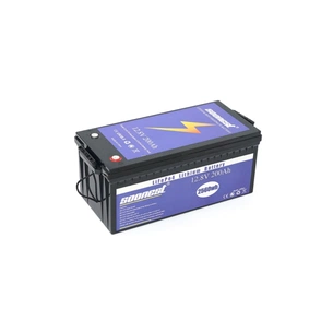 Батарея LiFePo4 Voltronic SOONEST 12,8V 200Ah, (50/100A) (SOONEST-12200) зображення 1