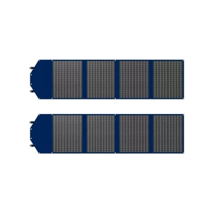 Портативна сонячна панель Canyon CND-SP200W2P изображение 1